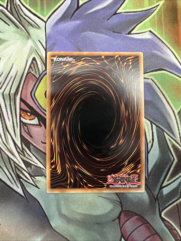 DUEA-EN028 Suanni, Fire Of The Yang Zing Super Rare 1st Edition NM Yugioh Card (back)