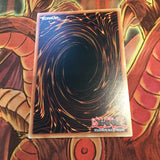 MACR-EN047  Zoodiac Hammerkong Common Yugioh Card 1st Edition New