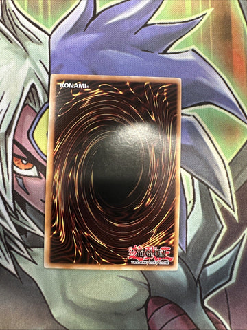 DRL2-EN023 Toon Kingdom Secret Rare 1st Edition NM Yugioh Card (back)