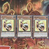 PHSW-EN032 Yu-Gi-Oh 3x Rodenut (Mixed) Yugioh Cards
