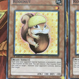 PHSW-EN032 Yu-Gi-Oh 3x Rodenut (Mixed) Yugioh Cards