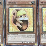 PHSW-EN032 Yu-Gi-Oh 3x Rodenut (Mixed) Yugioh Cards