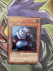 Smirking Gnome