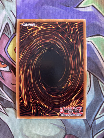 RIRA-EN044 Shaman Of The Tenyi Ultra Rare 1st Edition NM Yugioh Card (back)