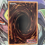 EGO1-EN011 Super-Nimble Mega Hamster Common 1st Edition NM Yugioh Card