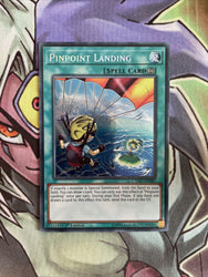 Smirking Gnome