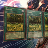 LOB-E036 / LOB-EN046 Yugioh 3x Forest (Mixed)!
