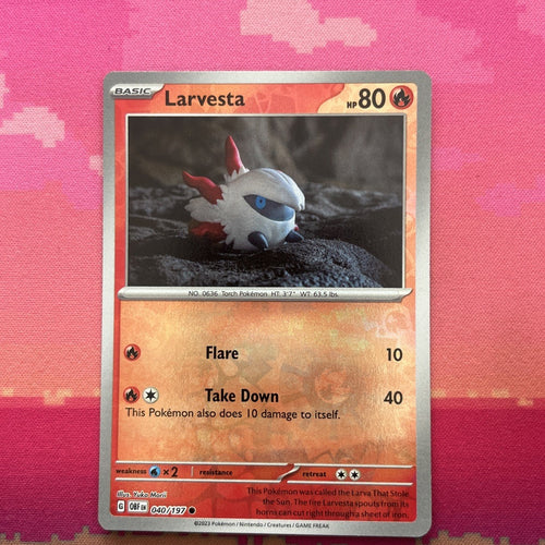 Pokemon Card Larvesta MISPRINT HOLO + REVERSE In ONE Obsidian Flames Near Mint