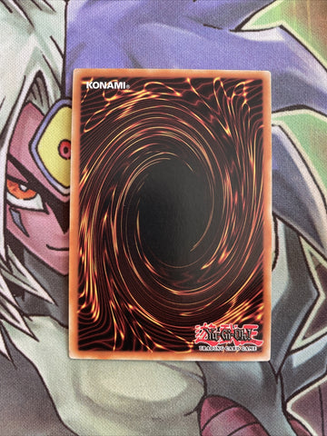 OP11-EN020 True Draco Heritage Common UNL Edition NM Yugioh Card (back)