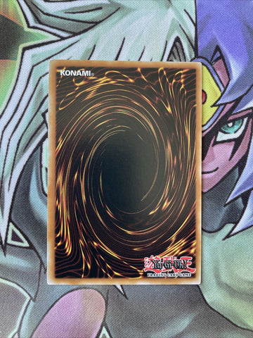 MGED-EN120 Wynn The Wind Charmer, Verdant Gold Letter 1st Edition NM Yugioh Card (back)