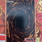 LOB-E009  YuGiOh Nemuriko 1st Edition