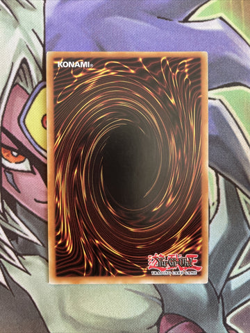 PGLD-EN073 Mezuki Gold Rare Unlimited Edition NM Yugioh Card (back)