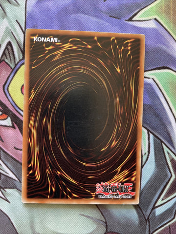 DREV-EN072 Amazoness Willpower Rare UNL Edition NM Yugioh Card (back)