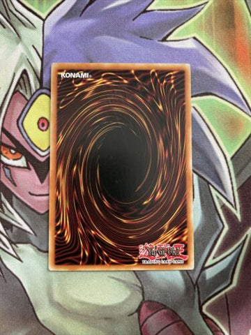 LDK2-ENK05 The White Stone Of Ancients Common 1st Edition NM Yugioh Card (back)