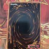 LOB-E037 Wasteland Common 1st Edition Near Mint Condition Yugioh