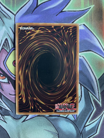 RP02-EN099 Green Baboon, Defender Of The Forest Secret Limited Ed NM Yugioh Card (back)