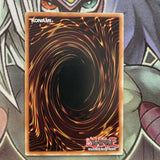 OP24-EN022 Raidraptor - Force Strix Common UNL Edition Near Mint Yugioh