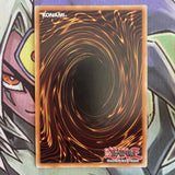 PGLD-EN034 Lonefire Blossom Gold Rare 1st Edition NM Yugioh Card