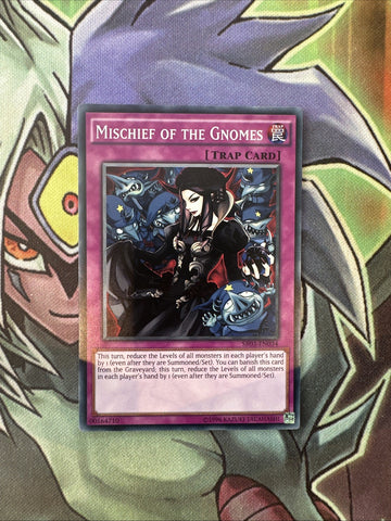 SR03-EN034 Mischief Of The Gnomes Common Unlimited Edition NM Yugioh Card