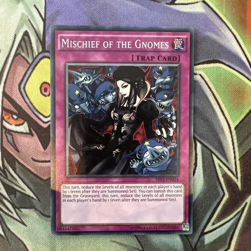SR03-EN034 Mischief Of The Gnomes Common Unlimited Edition NM Yugioh Card
