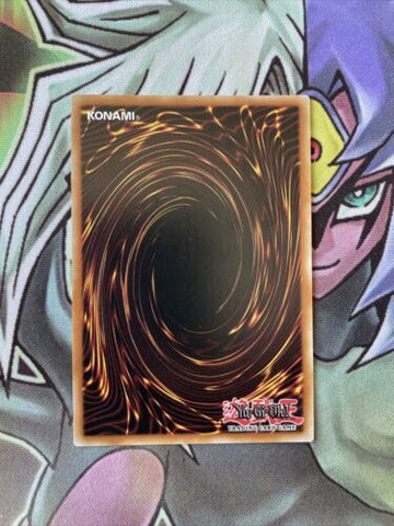MAGO-EN137 Mekk-Knight Of The Morning Star Gold Letter 1st Edition NM Yugioh (back)