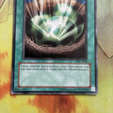 PSV-E068 Insect Imitation Common Yugioh Card
