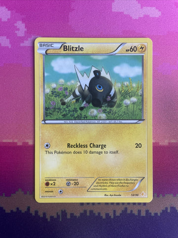 Pokemon Card Blitzle Trainer Kit 12/30 Near Mint