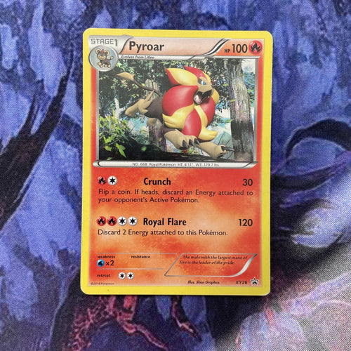 Pokemon Card Pyroar XY26 Black Star Promo Excellent Condition