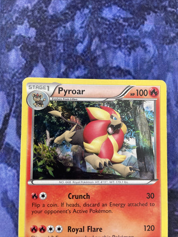 Pokemon Card Pyroar XY26 Black Star Promo Excellent Condition (back)