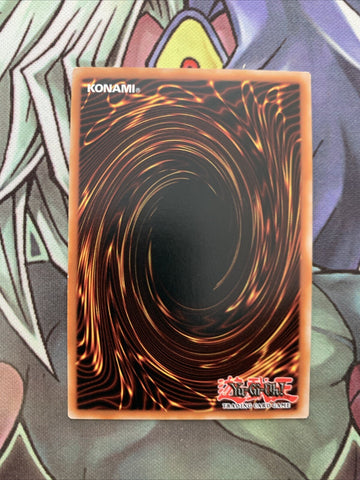 MP19-EN237 Vampire Scarlet Scourge Common 1st Edition NM Yugioh Card (back)