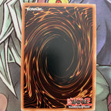 MP19-EN237 Vampire Scarlet Scourge Common 1st Edition NM Yugioh Card