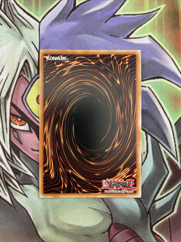 RATE-EN049 Neo Galaxy-Eyes Cipher Dragon Super Rare VaryingNM Yugioh Card (back)