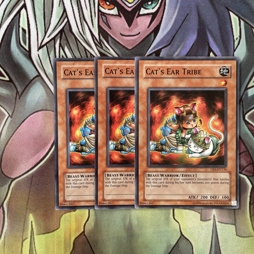 DR1-EN136 x3 Cat's Ear Tribe Common Excellent Condition Yugioh