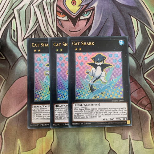 MAMA-EN066 x3 Cat Shark Ultra Rare Excellent Condition Yugioh