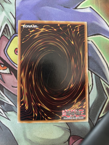 LCYW-EN235 Nimble Momonga Common Unlimited Edition NM Yugioh Card (back)