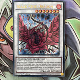 DUSA-EN077 Black Rose Dragon Ultra Rare 1st Edition NM Yugioh Card