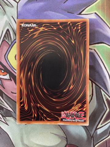 DUSA-EN077 Black Rose Dragon Ultra Rare 1st Edition NM Yugioh Card (back)