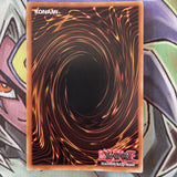 DUSA-EN077 Black Rose Dragon Ultra Rare 1st Edition NM Yugioh Card