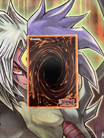 RIRA-EN003 Marincess Sea Horse Ultra Rare 1st Edition NM Yugioh Card (back)
