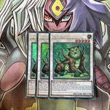 DUPO-EN091 x3 Naturia Beast Ultra Rare Excellent Condition Yugioh