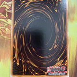 DT01-EN007 Yugioh 5D's Duel Terminal 1 Parallel Rare Kuriboh