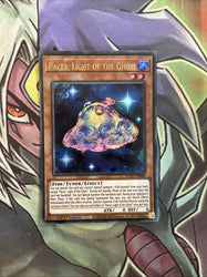Smirking Gnome