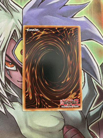 OP11-EN004 Fortune Lady Light Super Rare UNL Edition NM Yugioh Card (back)