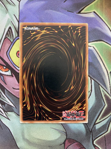 GLD3-EN008 Amazoness Tiger Common Limited Edition NM Yugioh Card (back)