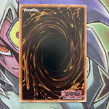 GLD3-EN008 Amazoness Tiger Common Limited Edition NM Yugioh Card