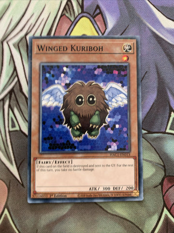 HAC1-EN013 Winged Kuriboh Duel Terminal 1st Edition NM Yugioh Card