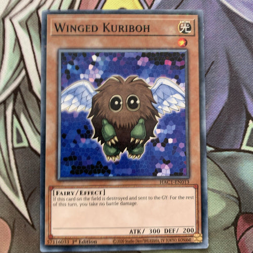 HAC1-EN013 Winged Kuriboh Duel Terminal 1st Edition NM Yugioh Card