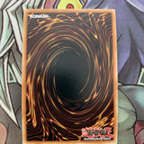 HAC1-EN013 Winged Kuriboh Duel Terminal 1st Edition NM Yugioh Card