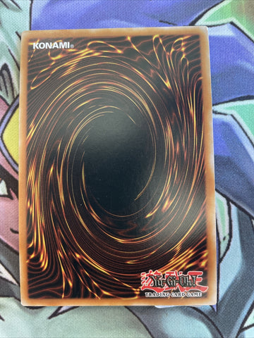 GFTP-EN024 Sunvine Trasher Ultra Rare 1st Edition NM Yugioh Card (back)