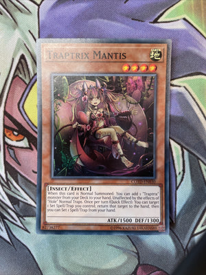 COTD-EN030 Traptrix Mantis Super Rare Unlimited Edition NM Yugioh Card